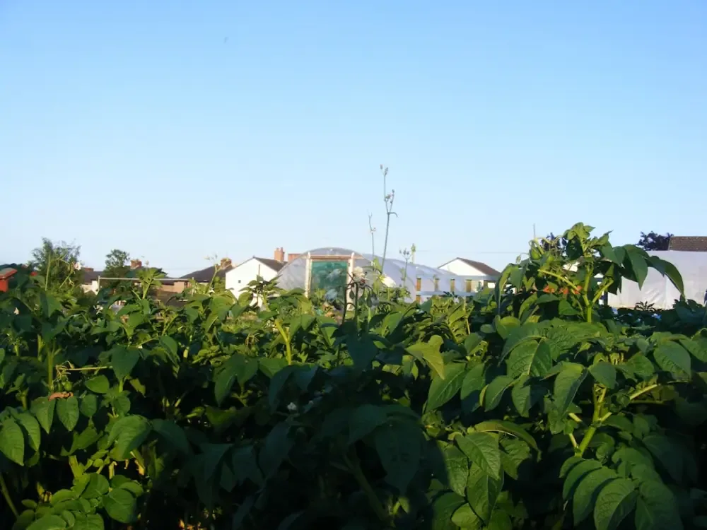 How local non profits are quietly helping us live more sustainably